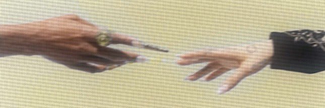 daisy ꕤ ⋆˙⟡ banner