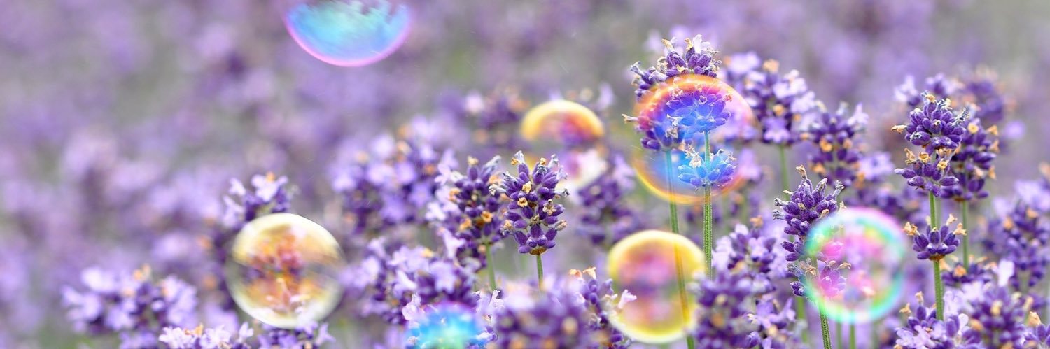 DaniClarice's profile banner image