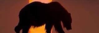 BevyBear2's banner