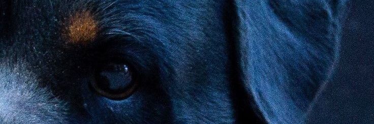 coverse_network's profile banner image