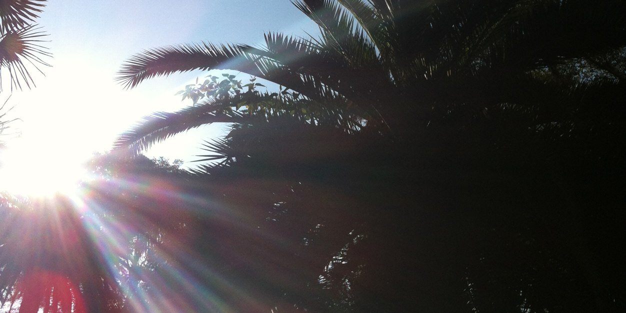 . banner