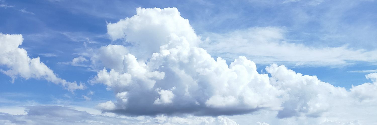 willymomo's profile banner image