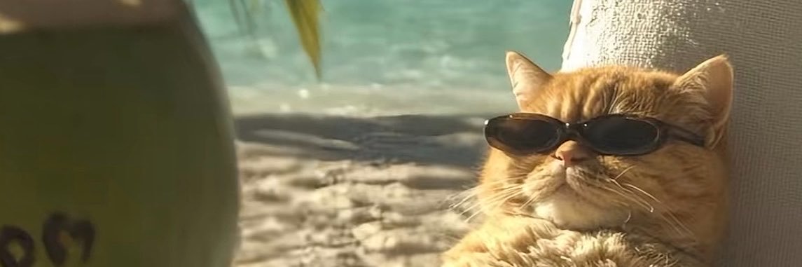 hungbln1's profile banner image
