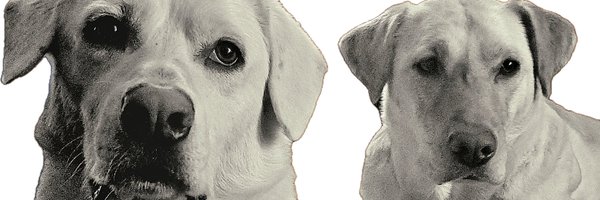 EnDaantje Profile Banner