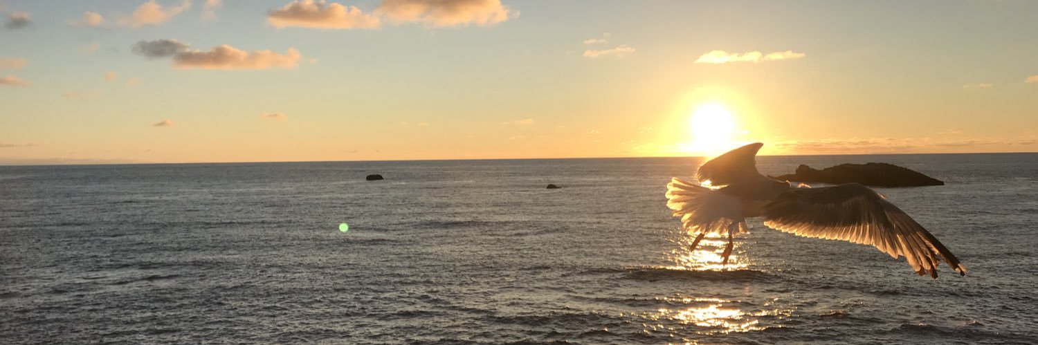 TerminTrader's profile banner image