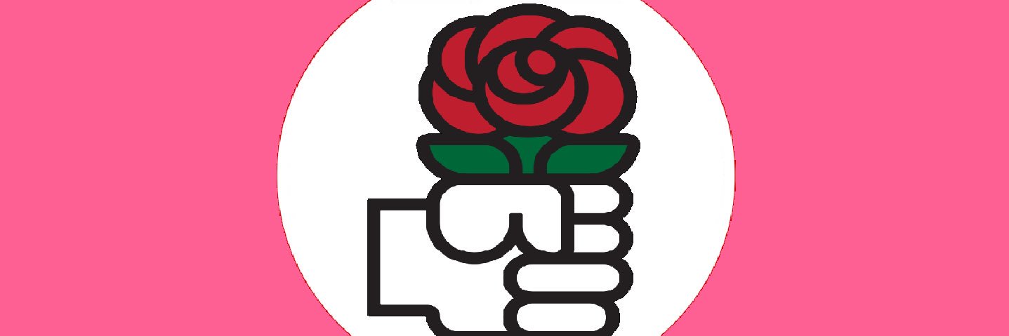 Long Island Democrat 🇺🇸🇺🇦🕊️🇹🇼's banner