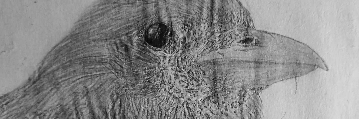 Cisofe_M's profile banner image