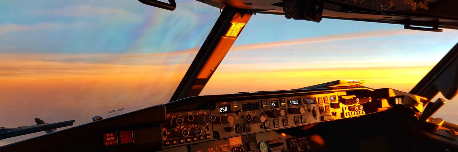 A Pilot's View banner