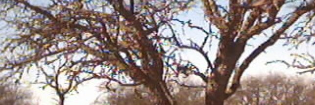 Martin Newton banner