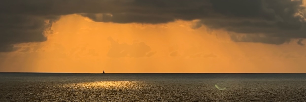 Erica Sevilla banner