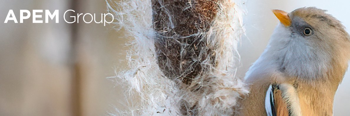 APEM Limited banner