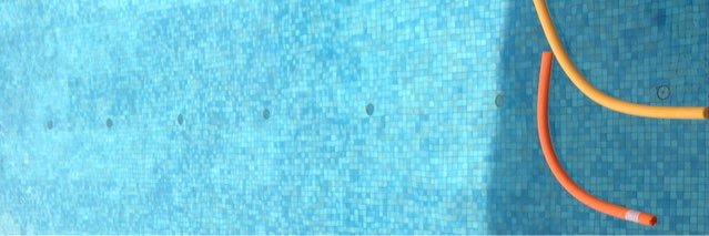 Ingrid Wenzel banner