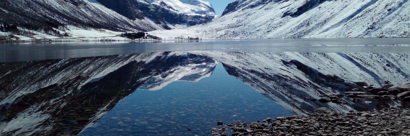 Amadeusz Ziarnowski banner