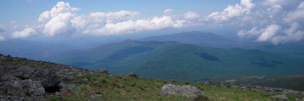 lisathedoc Profile Banner