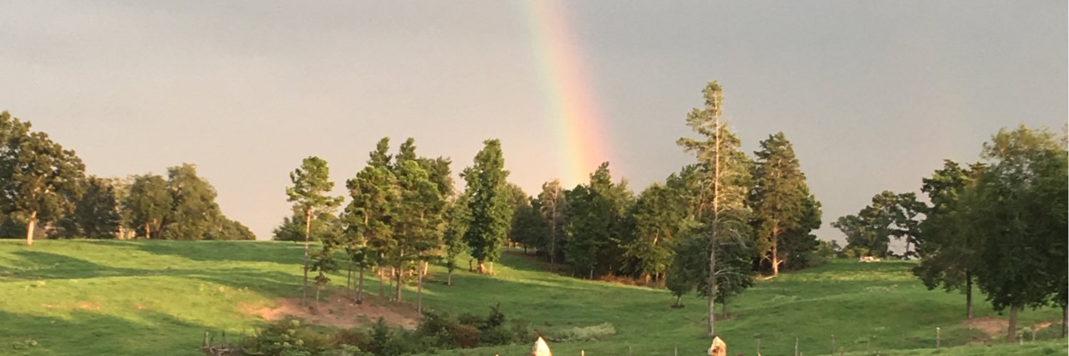 reecenichols's profile banner image