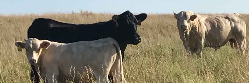 mpdrover's profile banner image