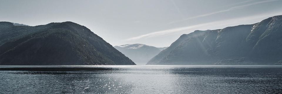 leonitibrahimi's profile banner image