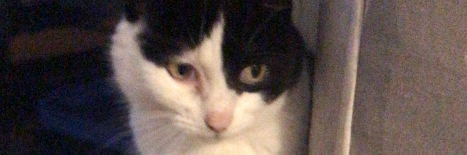 Judy McDowell's Words #MendTheClimate #Ukraine 🐸 banner