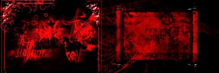 LSonchyne's profile banner image