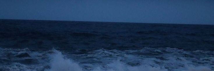Hippoo_4's profile banner image