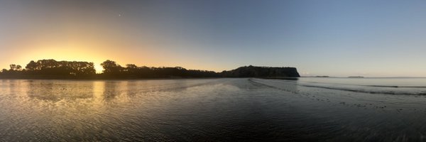 m_a_scorringe Profile Banner