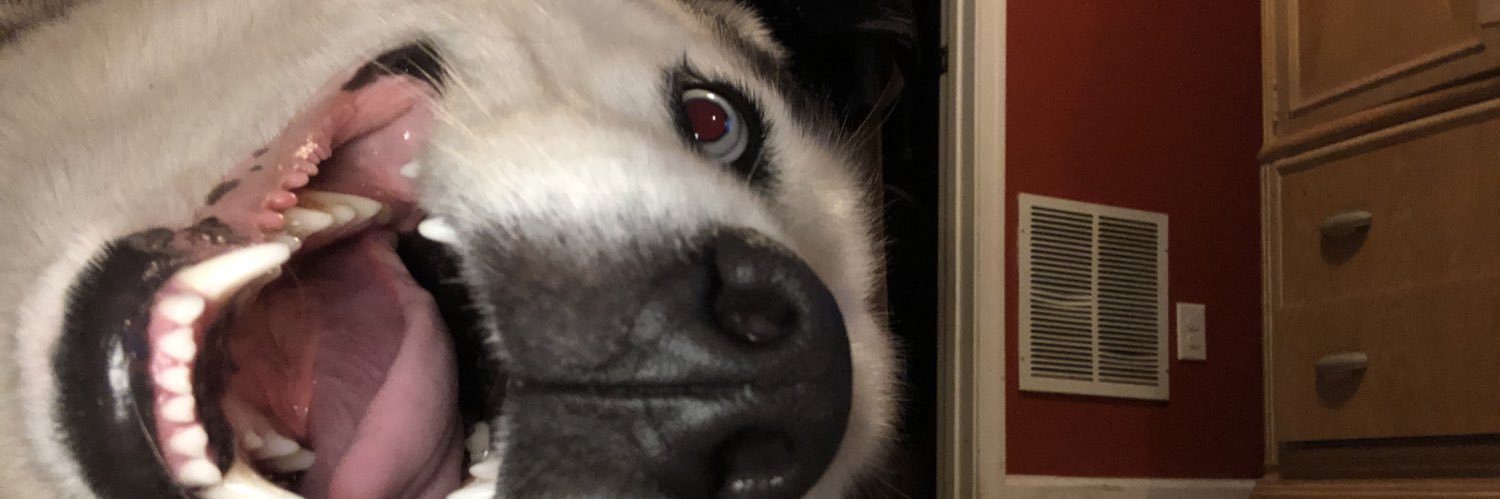 Alexanderprimo2's profile banner image
