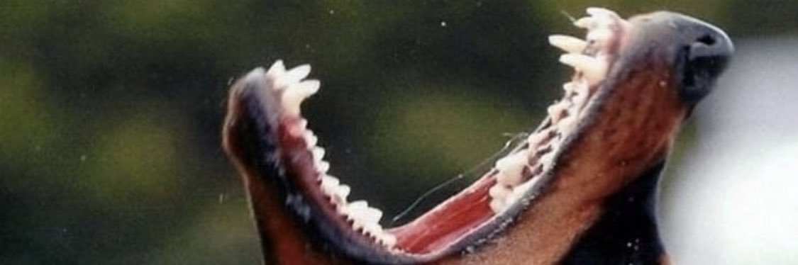 OMFGitzDANNY's profile banner image