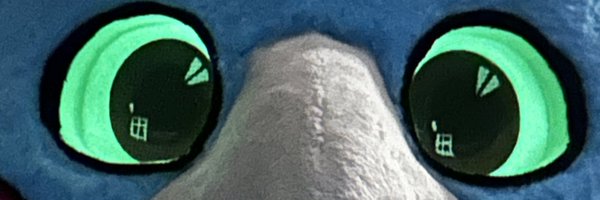 Quazbird Profile Banner