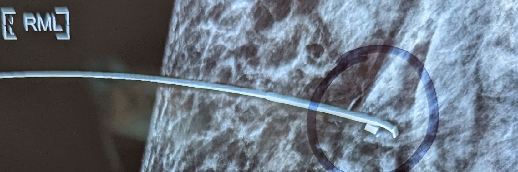 DrSandyhasdensebreasts banner