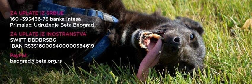 BetaBeograd's profile banner image