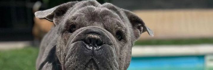 Tomas_Sosa2's profile banner image