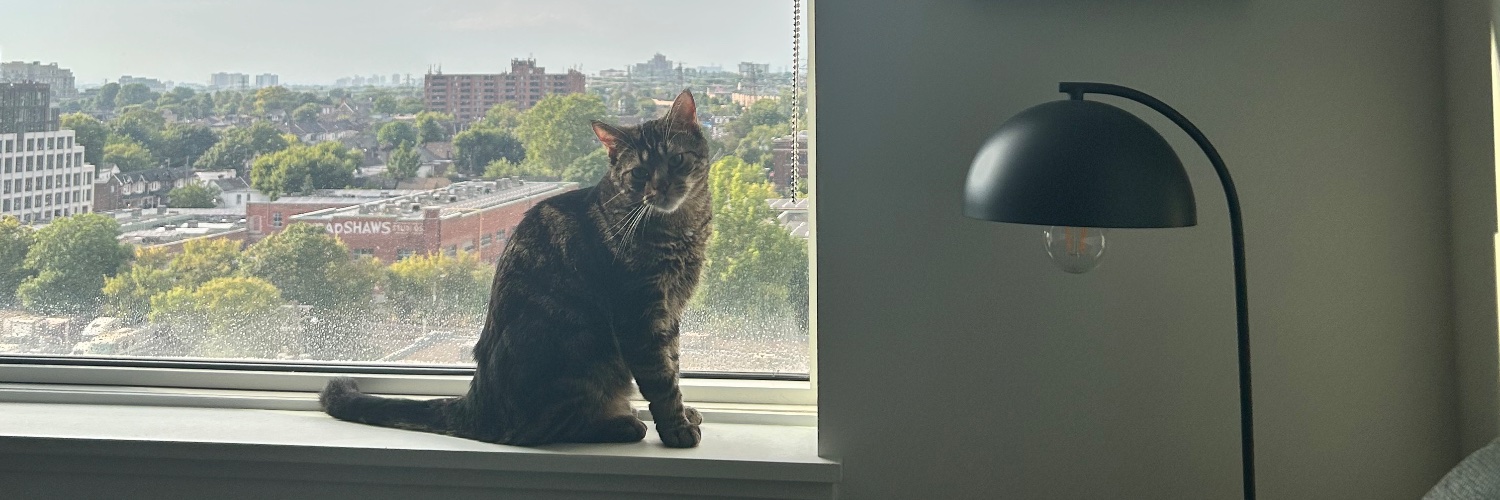 Aba Amuquandoh banner