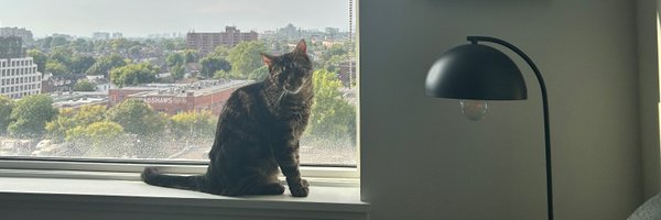 abaquan Profile Banner