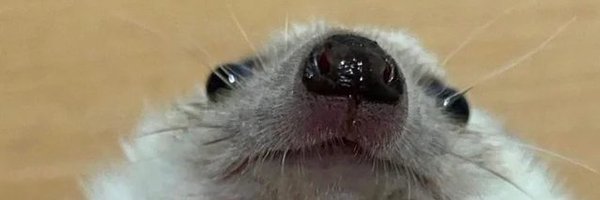 _Jairable Profile Banner