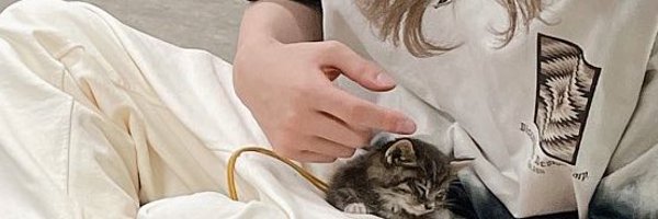 s__nghoons Profile Banner