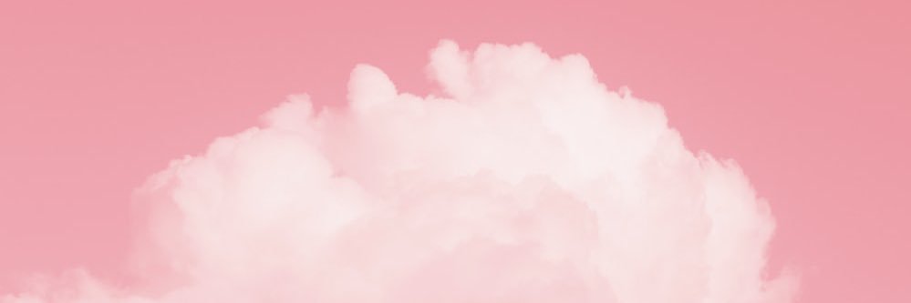 T’Challa’s wife banner