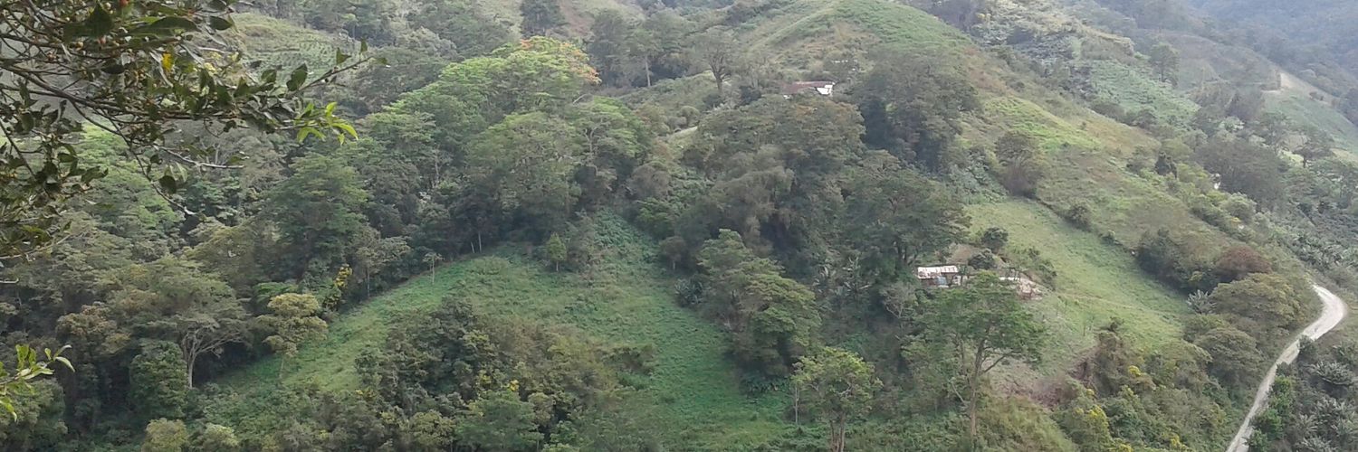 alidasequera1's profile banner image