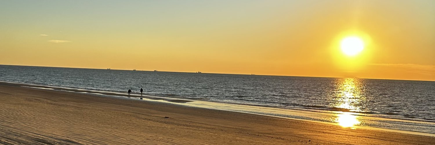 Robert Rodriguez banner