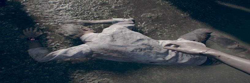 daegal anti + mithan defender banner