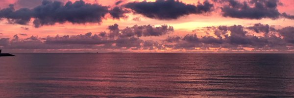 AluapPS95 Profile Banner