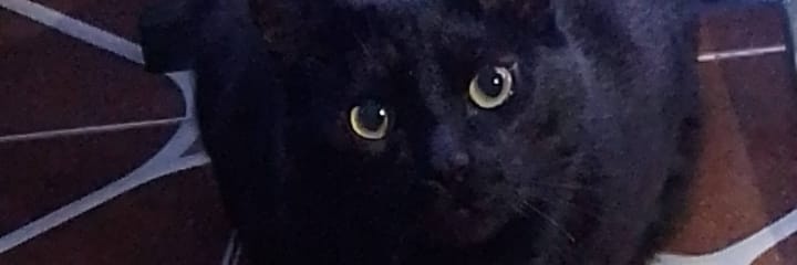 Lilith3030's profile banner image