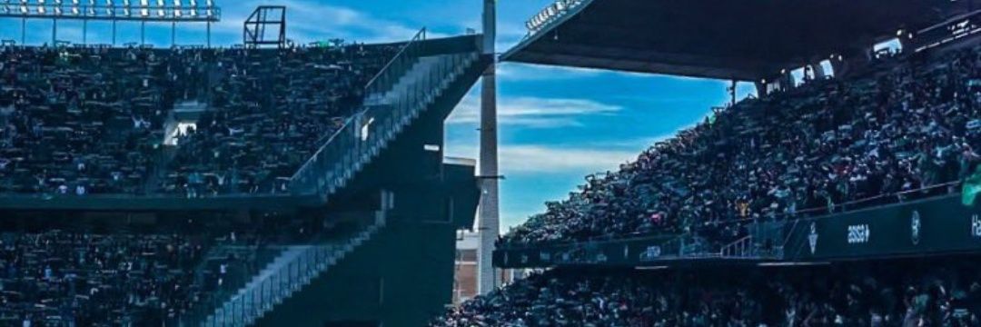 periito8's profile banner image