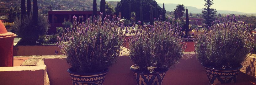 FerLuengo's profile banner image