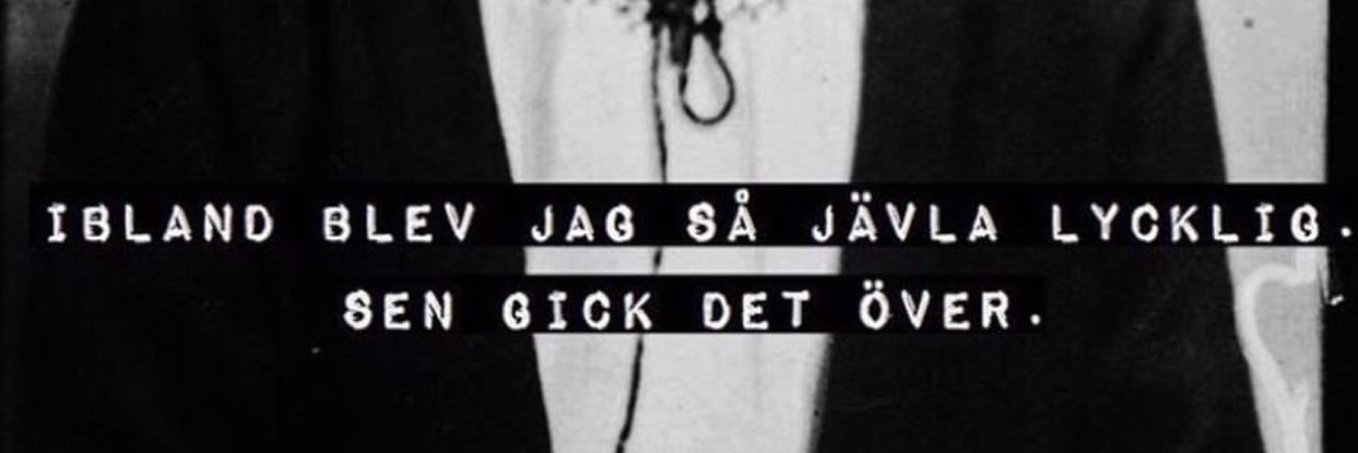 StefanssonEllen's profile banner image