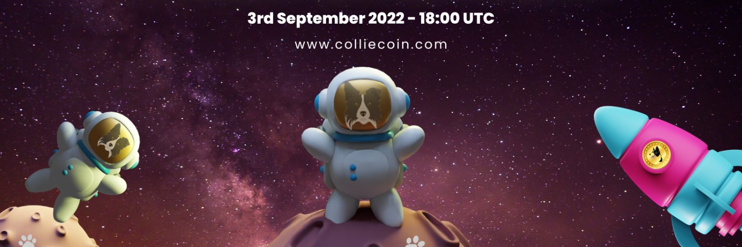 Collie Coin banner