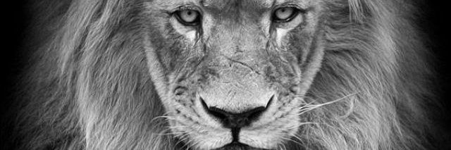alan_pre's profile banner image