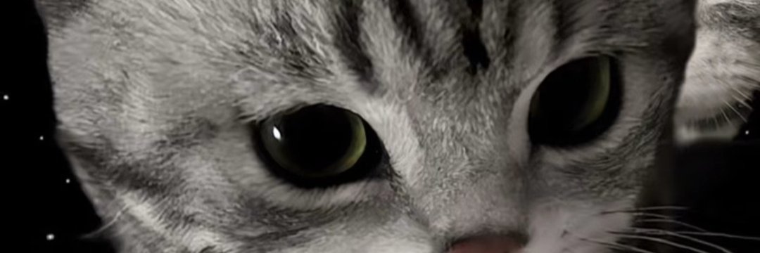 bininhu1's profile banner image