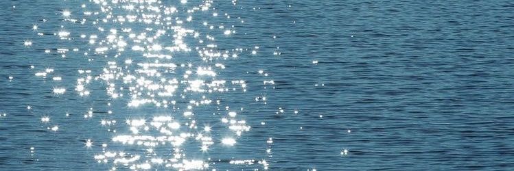 🌼 banner
