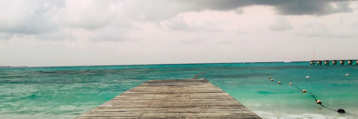 juligache's profile banner image