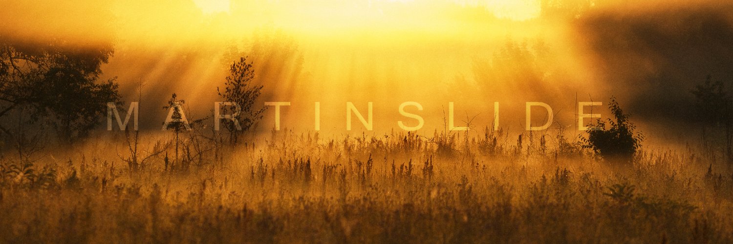 Martinslide's banner
